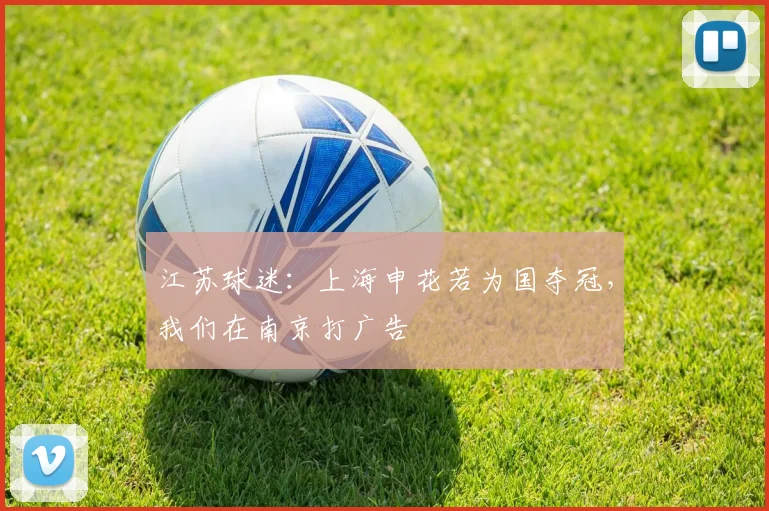 江苏球迷：上海申花若为国夺冠，我们在南京打广告