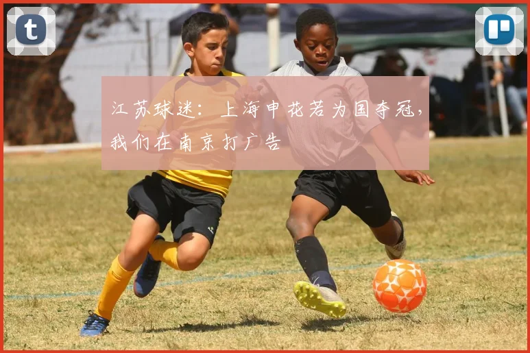 江苏球迷：上海申花若为国夺冠，我们在南京打广告